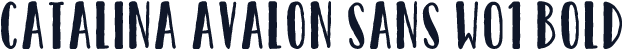Catalina Avalon Sans W01 Bold