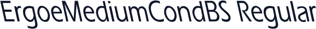 ErgoeMediumCondBS Regular