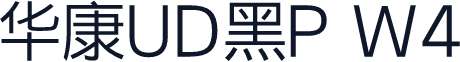 华康UD黑P W4