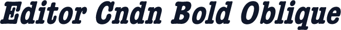 Editor Cndn Bold Oblique