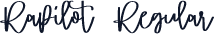 Rapilot Regular