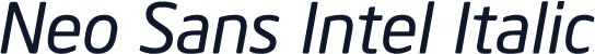Neo Sans Intel Italic