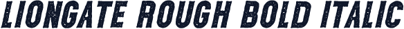 Liongate rough Bold Italic