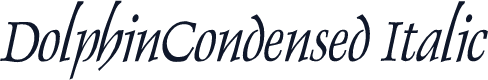 DolphinCondensed Italic