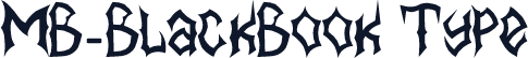 MB-BlackBook Type