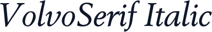 VolvoSerif Italic