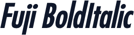 Fuji BoldItalic