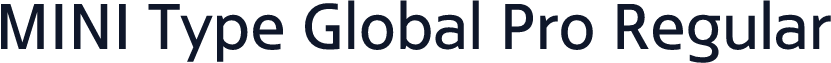 MINI Type Global Pro Regular