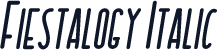 Fiestalogy Italic