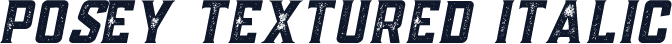 Posey Textured Italic