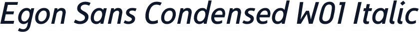 Egon Sans Condensed W01 Italic