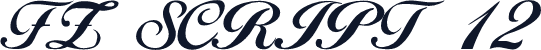FZ SCRIPT 12