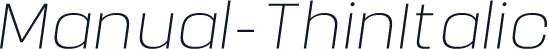 Manual-ThinItalic