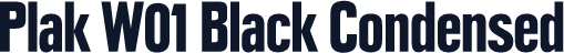 Plak W01 Black Condensed
