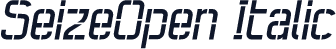 SeizeOpen Italic