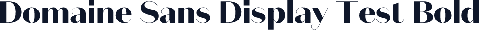 Domaine Sans Display Test Bold