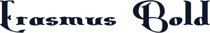 Erasmus Bold