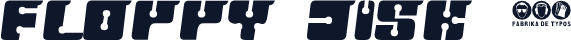 FLOPPY DISK 2