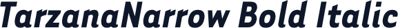 TarzanaNarrow Bold Italic