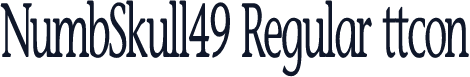 NumbSkull49 Regular ttcon