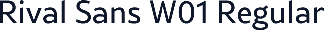 Rival Sans W01 Regular