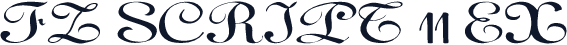 FZ SCRIPT 11 EX