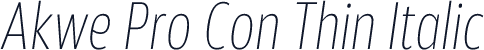 Akwe Pro Con Thin Italic