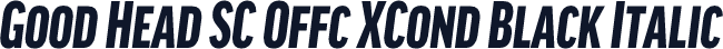 Good Head SC Offc XCond Black Italic