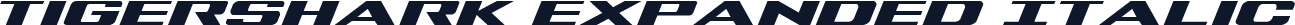 Tigershark Expanded Italic