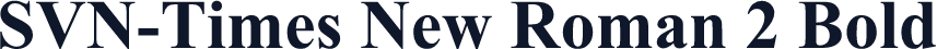 SVN-Times New Roman 2 Bold