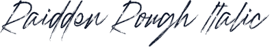 Raidden Rough Italic