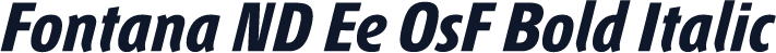 Fontana ND Ee OsF Bold Italic