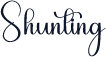 Shunting