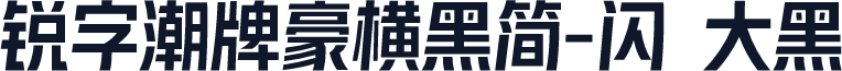 锐字潮牌豪横黑简-闪 大黑
