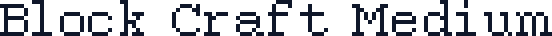 Block Craft Medium