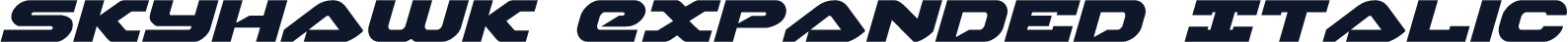 Skyhawk Expanded Italic