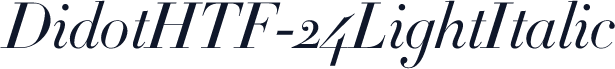 DidotHTF-24LightItalic