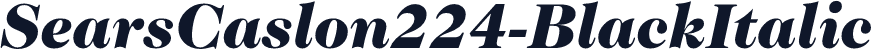 SearsCaslon224-BlackItalic