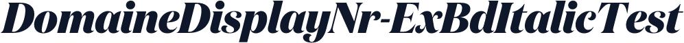 DomaineDisplayNr-ExBdItalicTest
