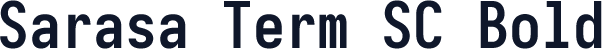 Sarasa Term SC Bold