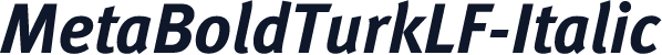 MetaBoldTurkLF-Italic