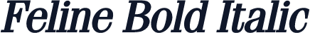 Feline Bold Italic