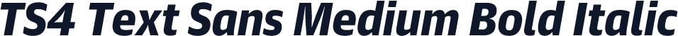 TS4 Text Sans Medium Bold Italic