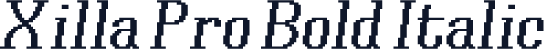 Xilla Pro Bold Italic
