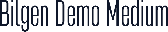 Bilgen Demo Medium