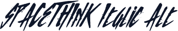SPACETHINK Italic Alt