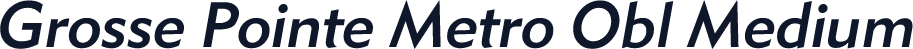 Grosse Pointe Metro Obl Medium