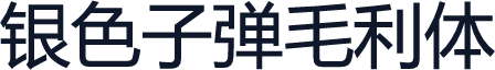 银色子弹毛利体
