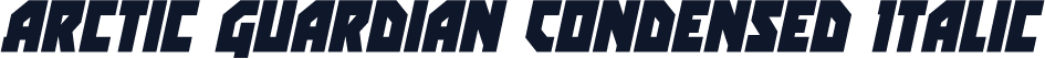 Arctic Guardian Condensed Italic