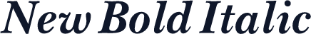 New Bold Italic